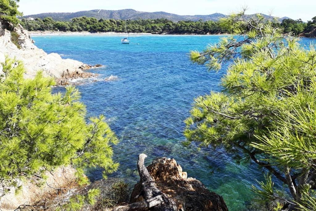 T2 Clim Parking, Entre Nature Et Plage Hyeres Bagian luar foto